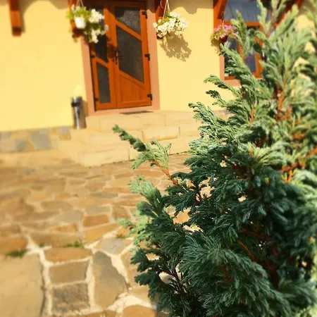 Country house Villa_vovkal *